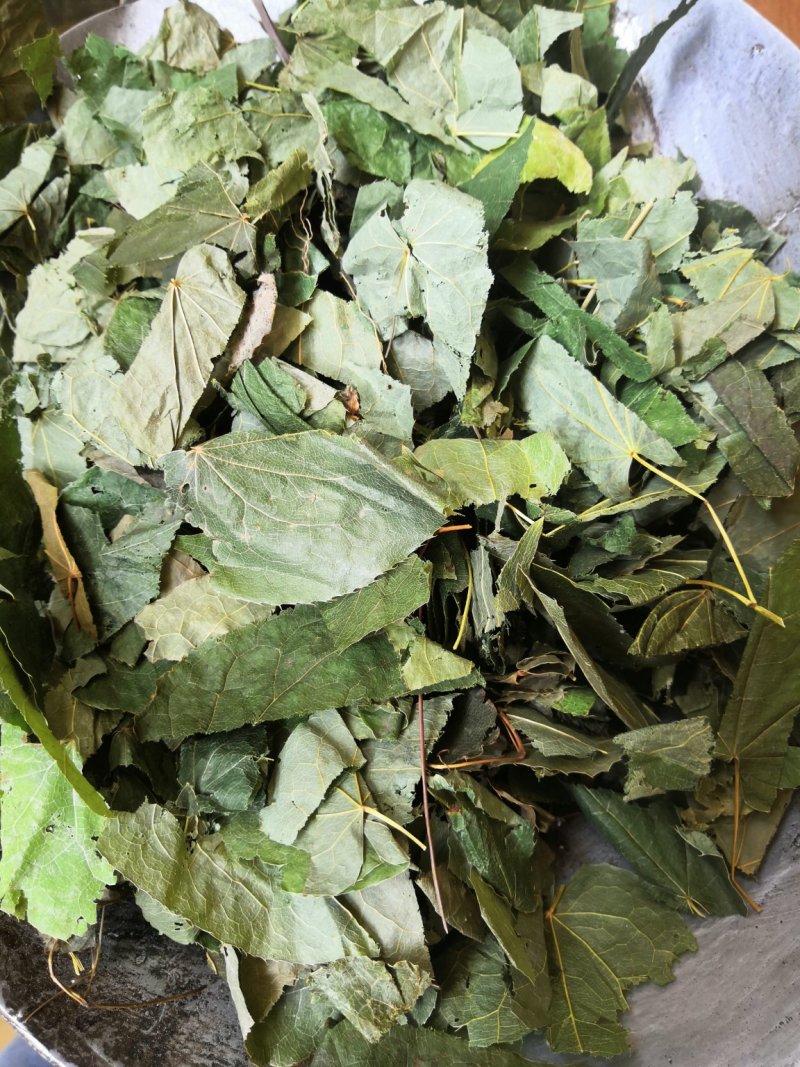 内蒙青淫羊藿，纯净货，量大从优淫羊藿