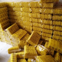 金丝黄菊茶，金丝皇菊茶大量批发，种植包回收！提供技术管理