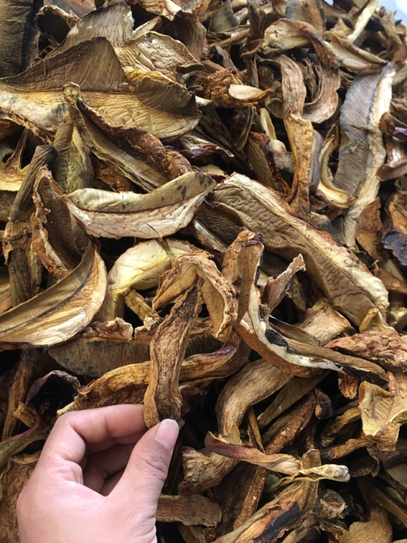 黄牛肝菌，黄赖头，野生牛肝菌火锅汤底转用