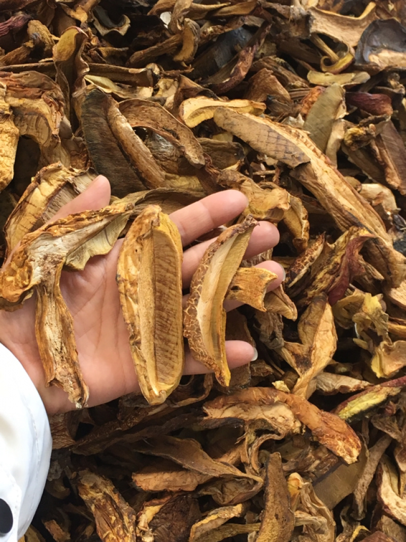 黄牛肝菌，黄赖头，野生牛肝菌火锅汤底转用