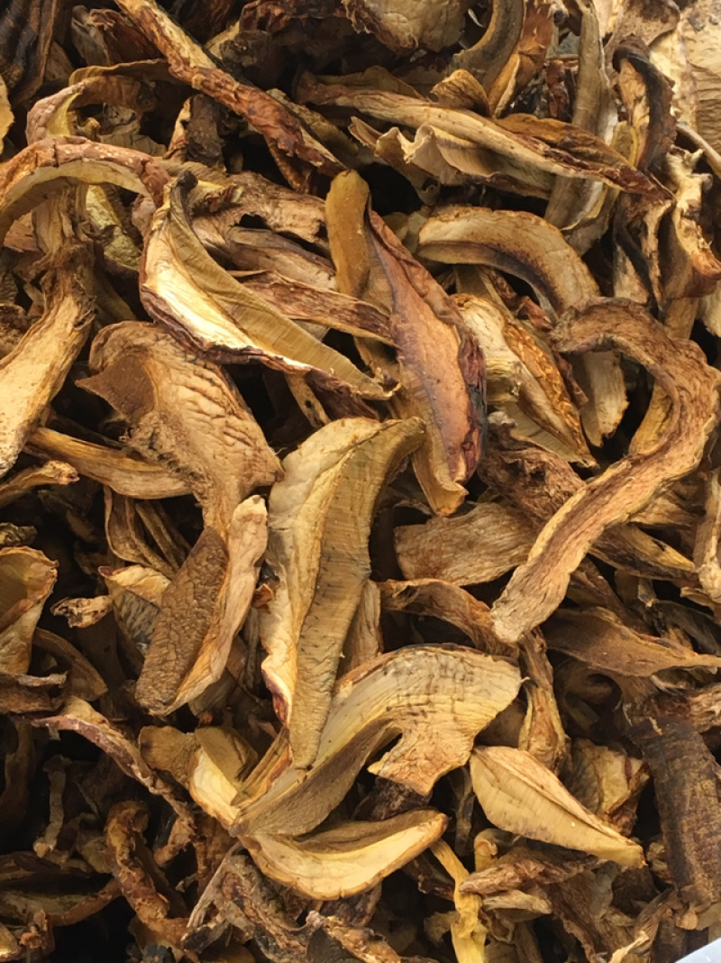 黄牛肝菌，黄赖头，野生牛肝菌火锅汤底转用