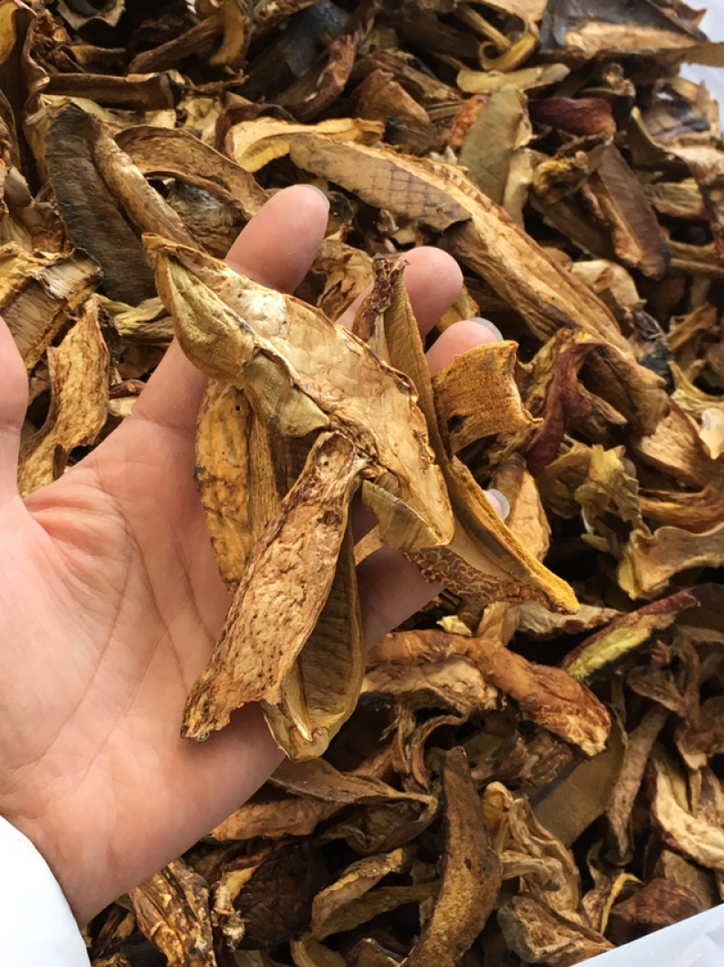 黄牛肝菌，黄赖头，野生牛肝菌火锅汤底转用