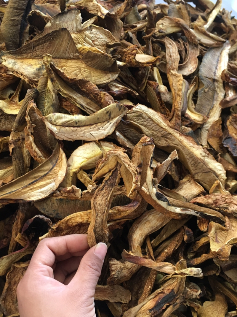 黄牛肝菌，黄赖头，野生牛肝菌火锅汤底转用