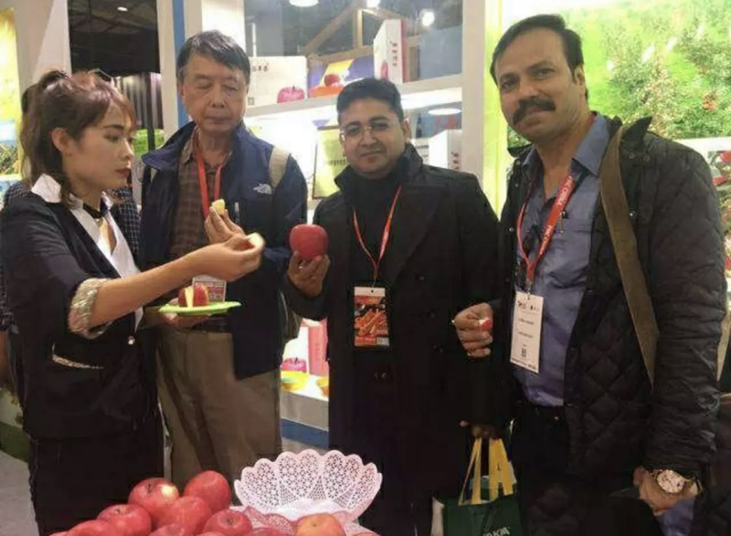 【条红纸袋红富士】大量现货产地直供口感脆甜