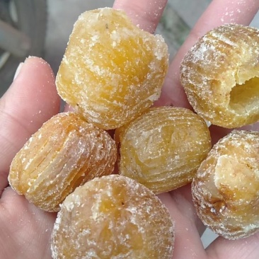 沧州特产蜜枣。。。。。