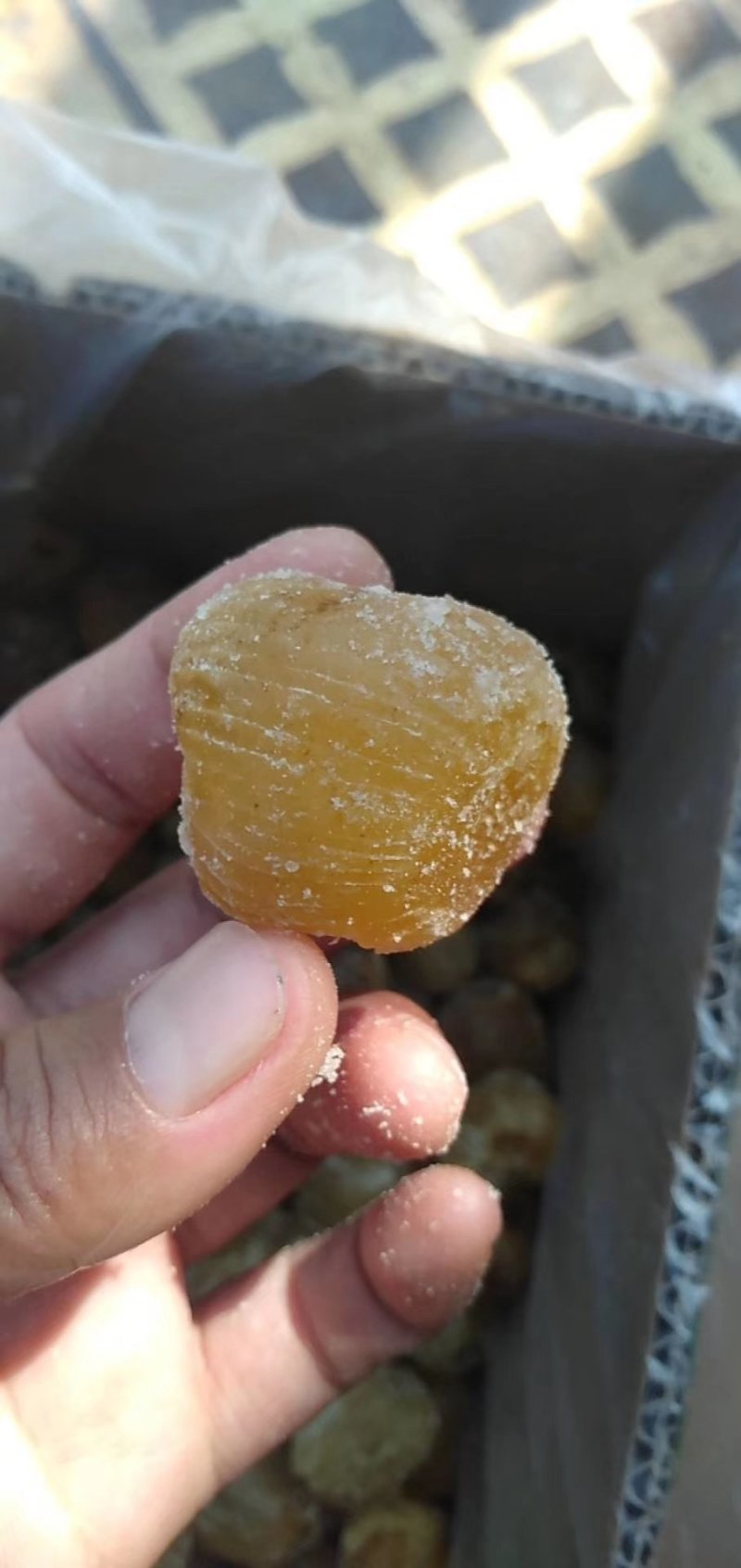 沧州特产蜜枣。。。。。
