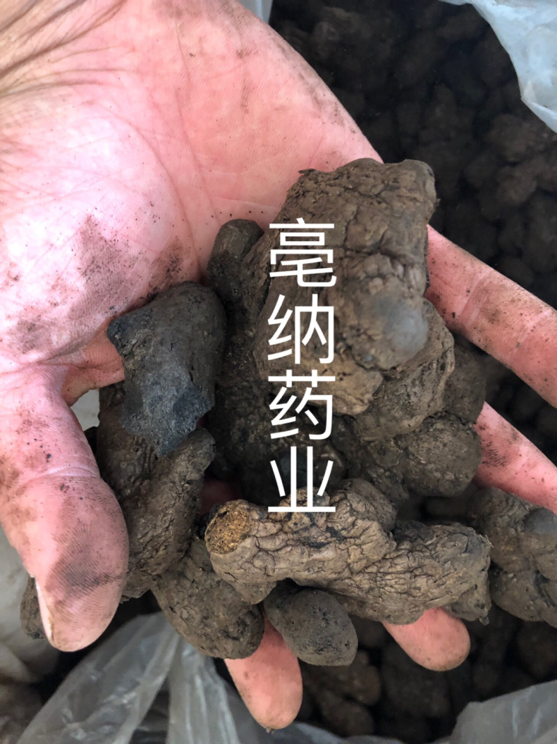 中药材炮姜炭姜炭1公斤起批源头厂家