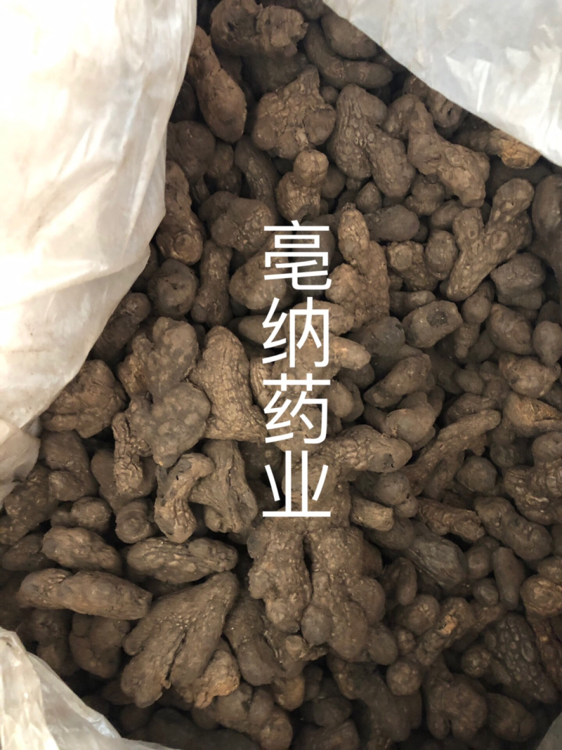 中药材炮姜炭姜炭1公斤起批源头厂家
