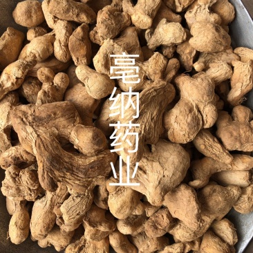 中药材炮姜1公斤起批源头厂家