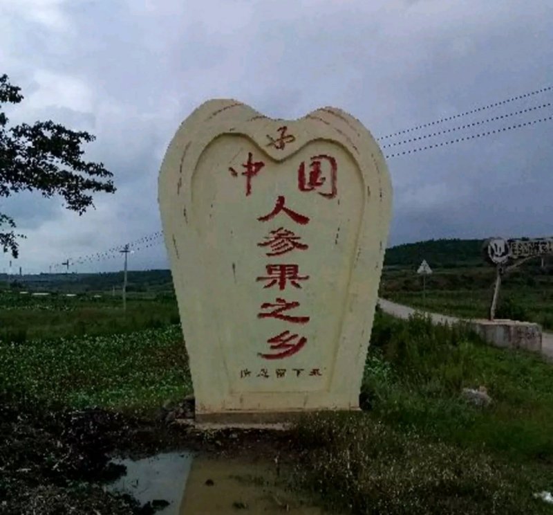 【精品】云南人参果之乡，原产地一手货源批发品质保证！