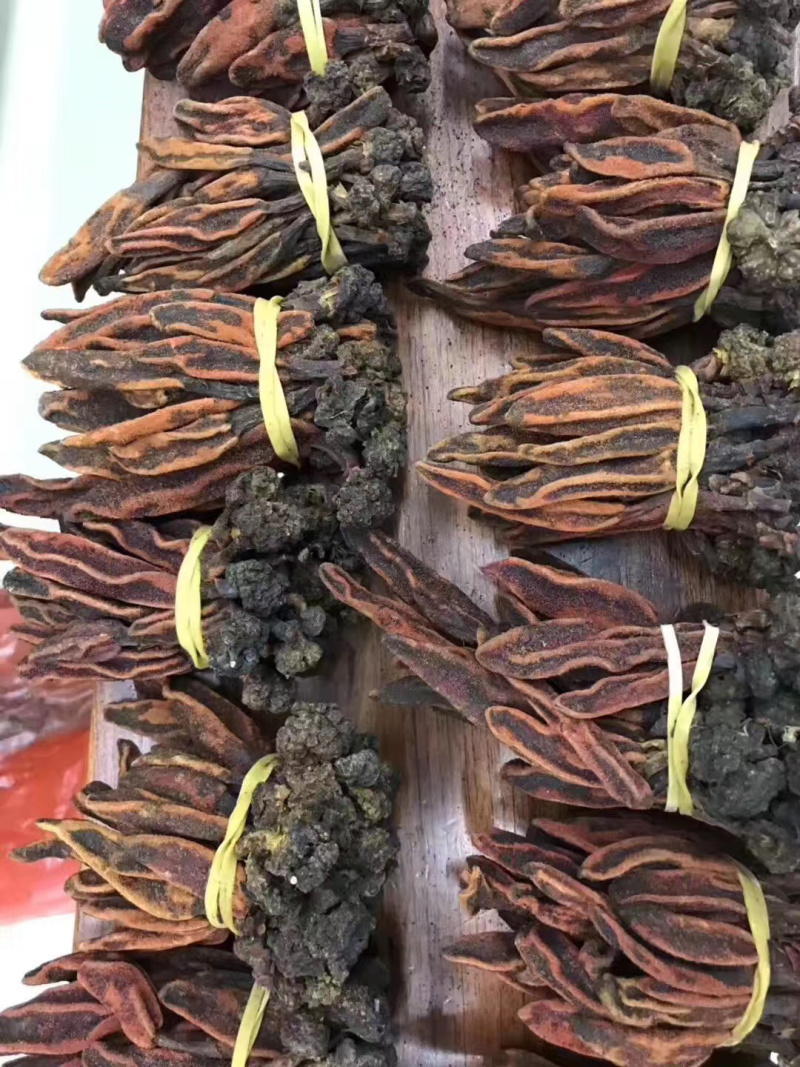 回春草大货，中药原料，冷背药材，名贵药材