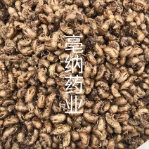 中药材蝉蜕虫蜕金蝉壳蝉退1件（250克）起批大货批发