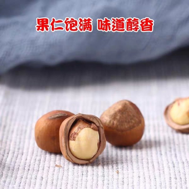 开口榛子东北开口榛子包邮