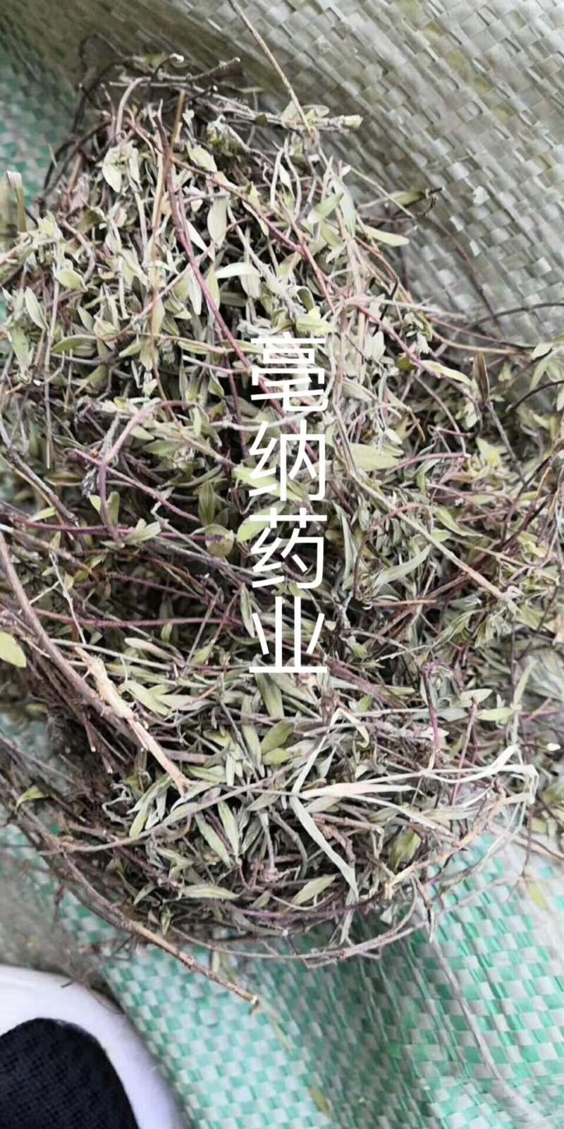 中药材冷背百里香西餐百里香1公斤起批源头厂家