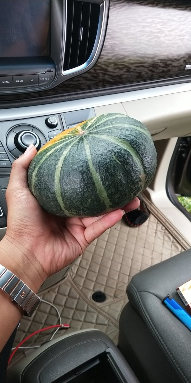 新西兰南瓜板栗南瓜大量上市多年种植经验品质好适合每个市场
