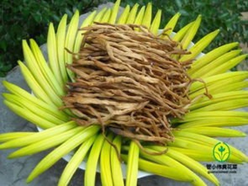 陕西黄花菜种苗成活率高抗病强，质保好品种，包回收上地指导