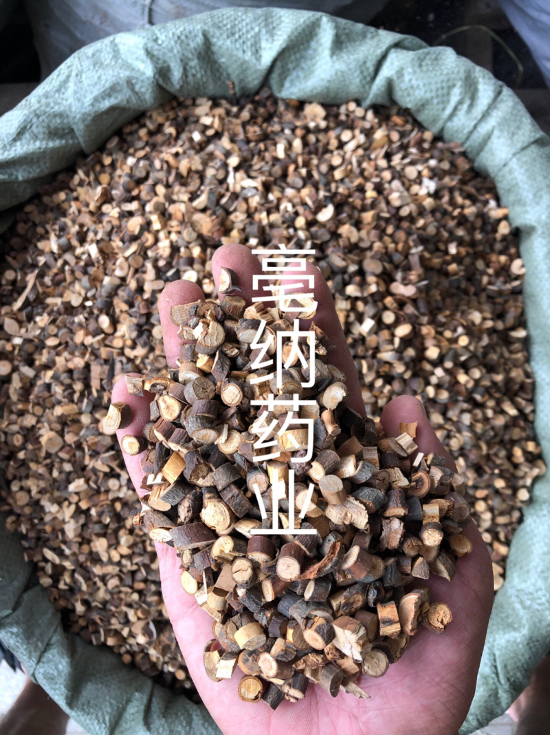桂枝尖1公斤起批大货批发