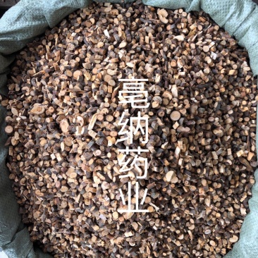 桂枝尖1公斤起批大货批发