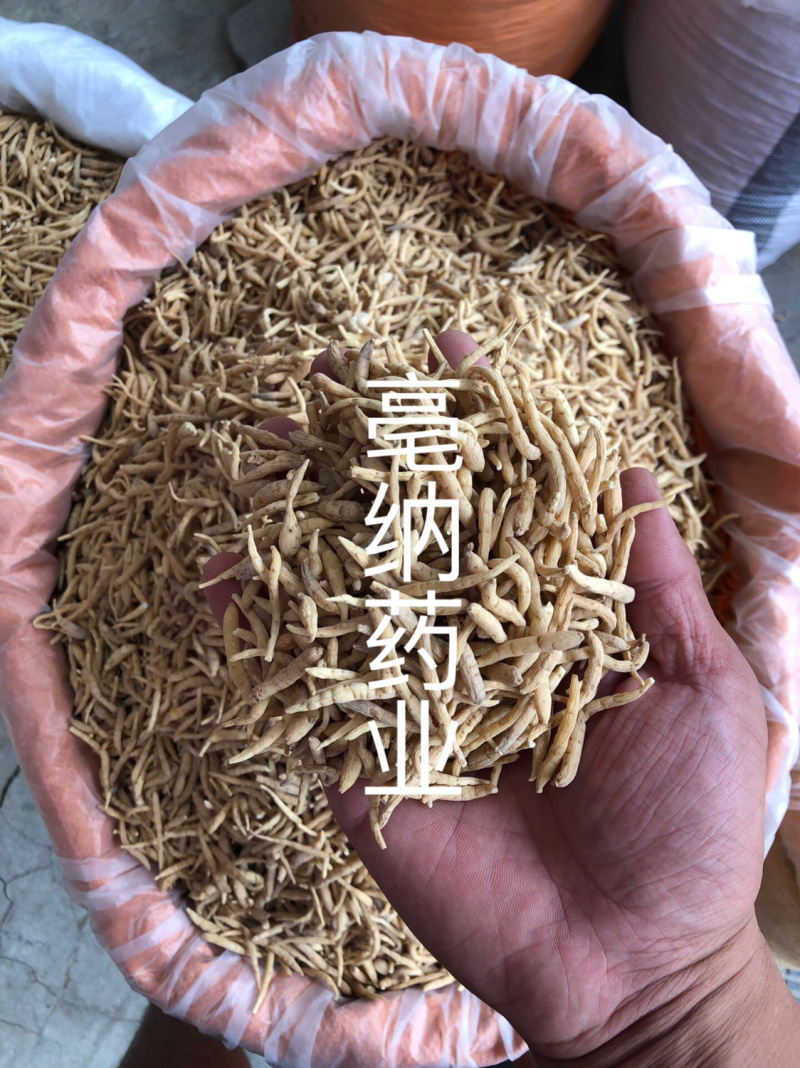 太子参孩儿参中药材太子参无硫新货1⃣️公斤起批