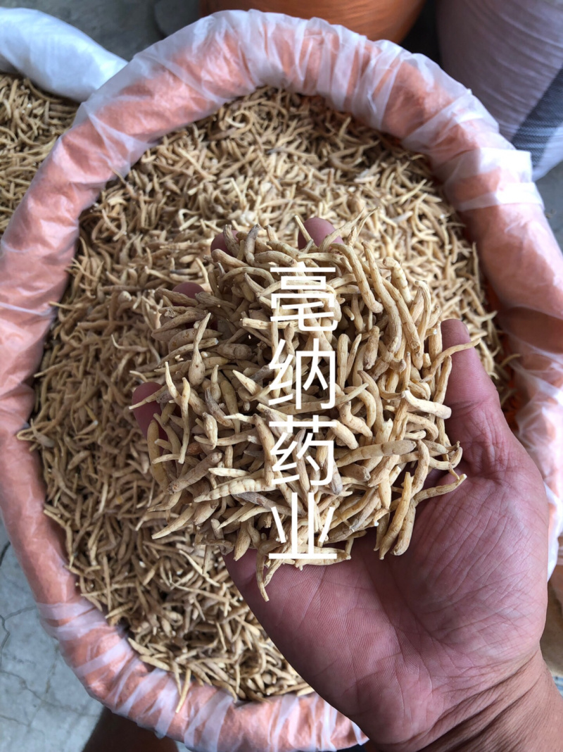 太子参孩儿参中药材太子参无硫新货1⃣️公斤起批