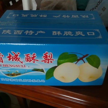 蒲城皇冠👑梨，水大皮薄，50元/箱包邮（偏远地区除外）