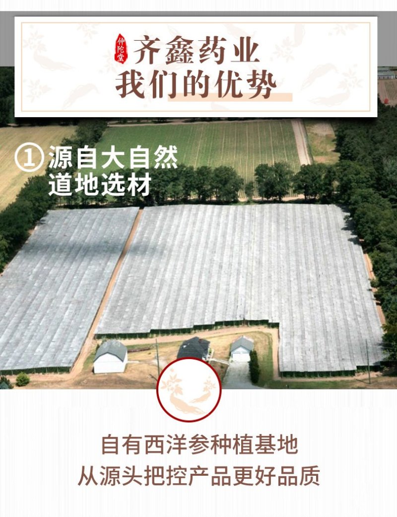 西洋参精选西洋参片瓶装花旗参切片定制oem贴牌产地货源
