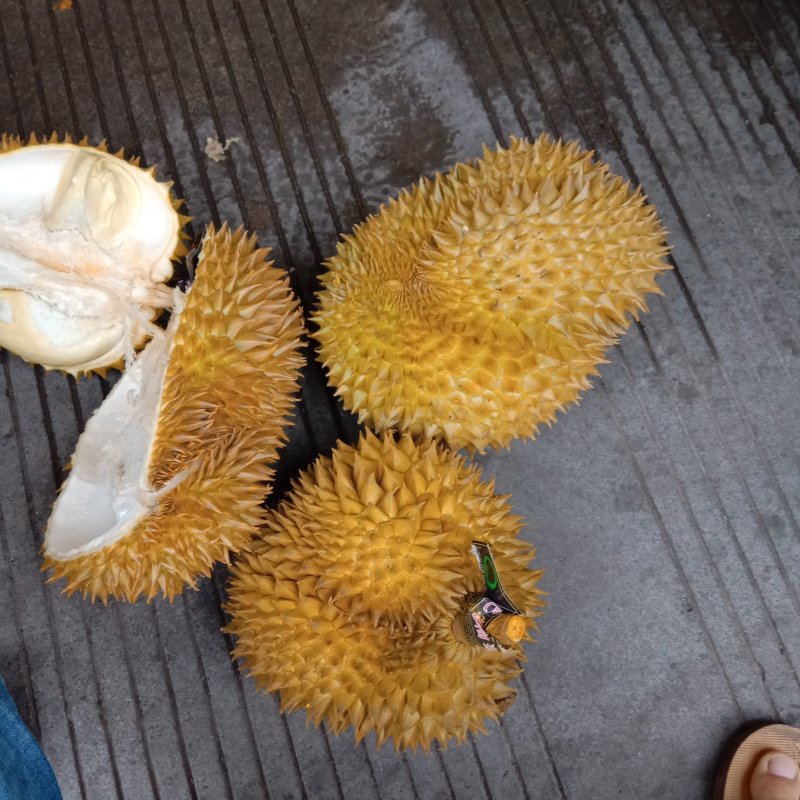泰国金枕头榴莲
