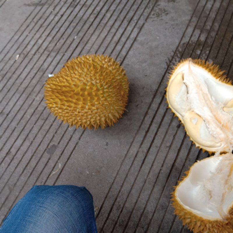 泰国金枕头榴莲