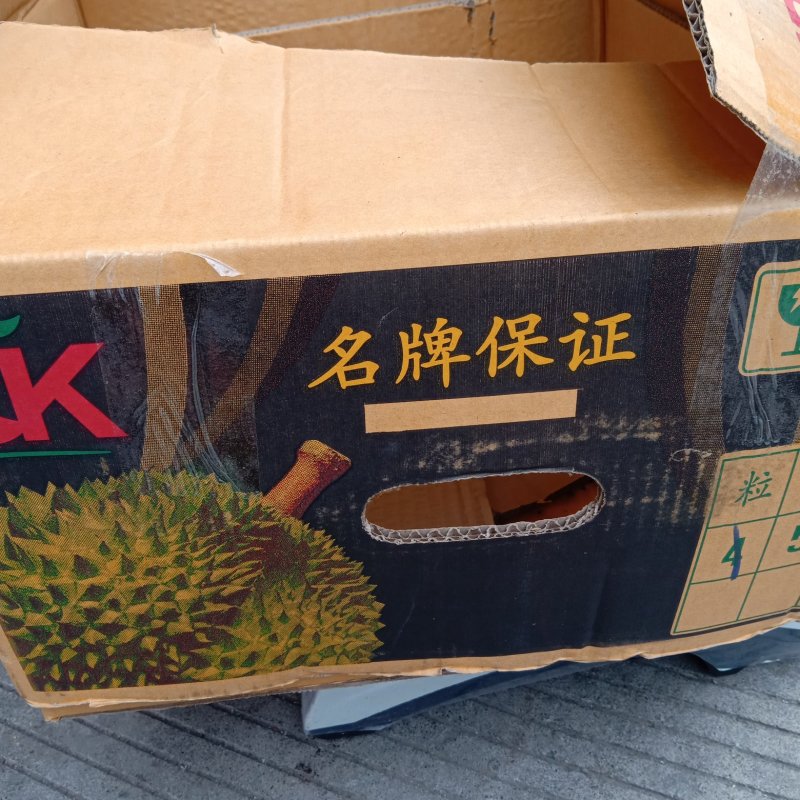 泰国金枕头榴莲