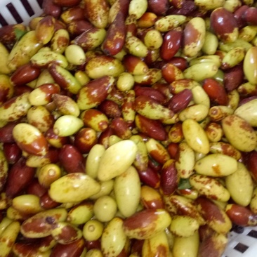 鲜枣