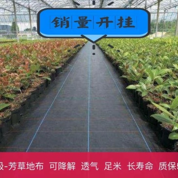防草布除草布地布