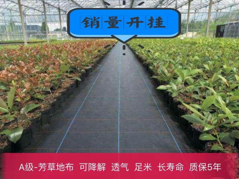 防草布除草布地布
