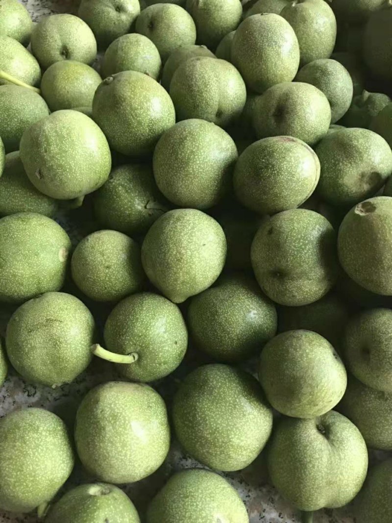 山西汾阳礼品，青皮核桃