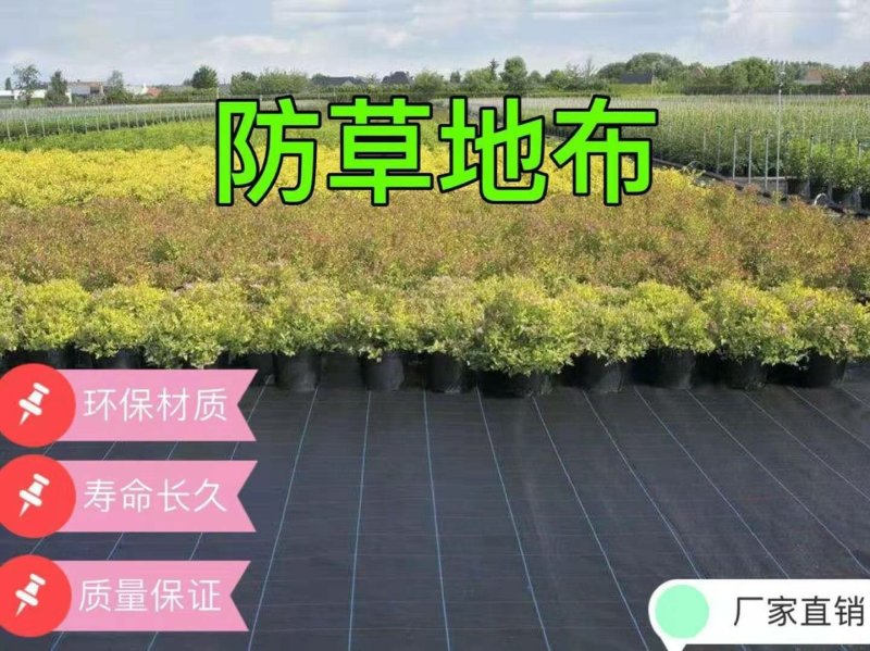 防草布除草布