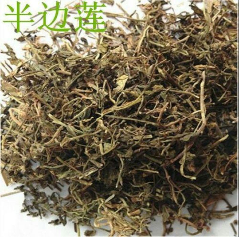 批发半边莲产地直供可搭配多品种采购大货联系客服