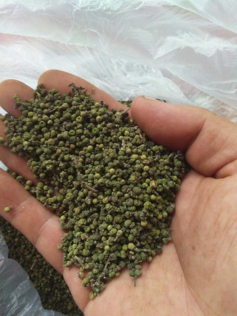 今年新货：中花茣茱萸