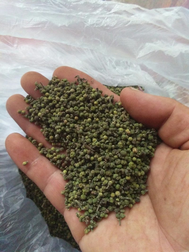 今年新货：中花茣茱萸