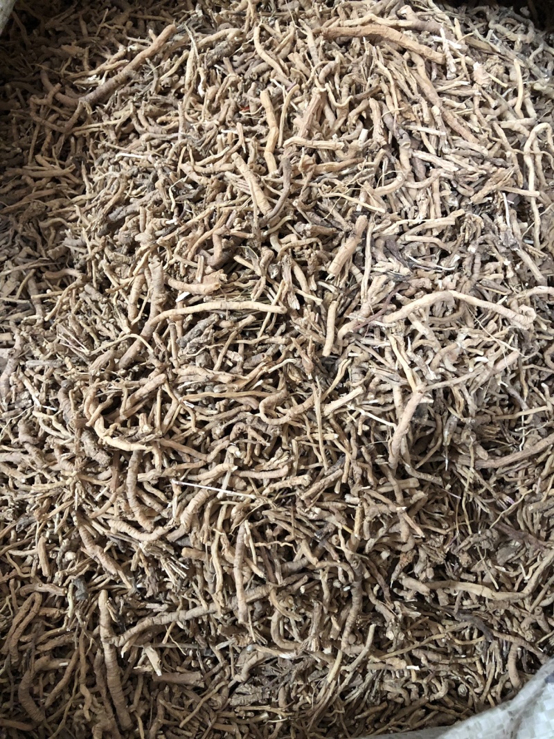 【舜波中药材】远志量大从优