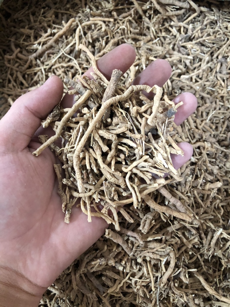 【舜波中药材】远志量大从优