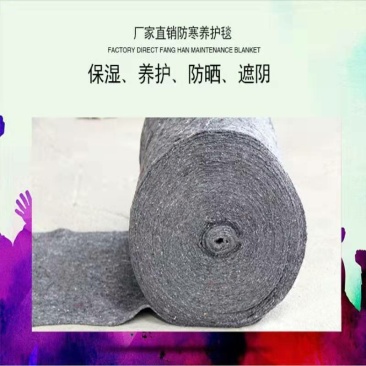 毛毡