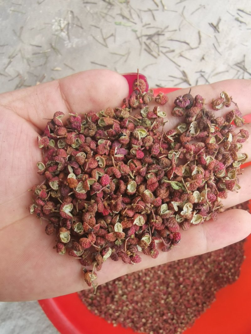【精品】大红袍花椒颜色红，颗粒大保质保量量大从优