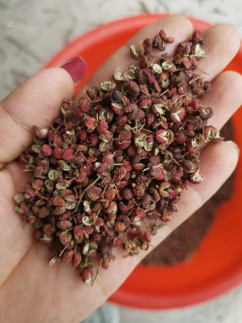 【精品】大红袍花椒颜色红，颗粒大保质保量量大从优
