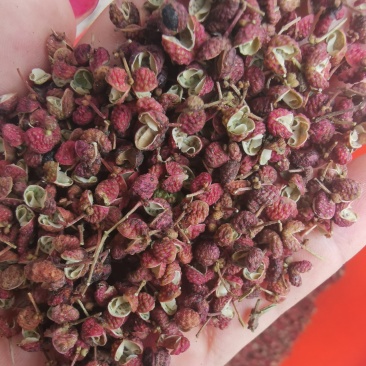 【精品】大红袍花椒颜色红，颗粒大保质保量量大从优