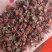 【精品】大红袍花椒颜色红，颗粒大保质保量量大从优