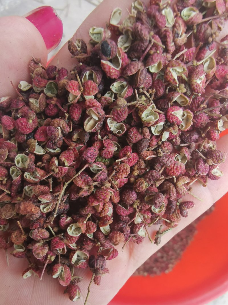 【精品】大红袍花椒颜色红，颗粒大保质保量量大从优
