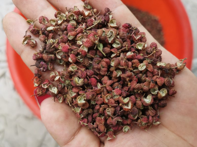 【精品】大红袍花椒颜色红，颗粒大保质保量量大从优
