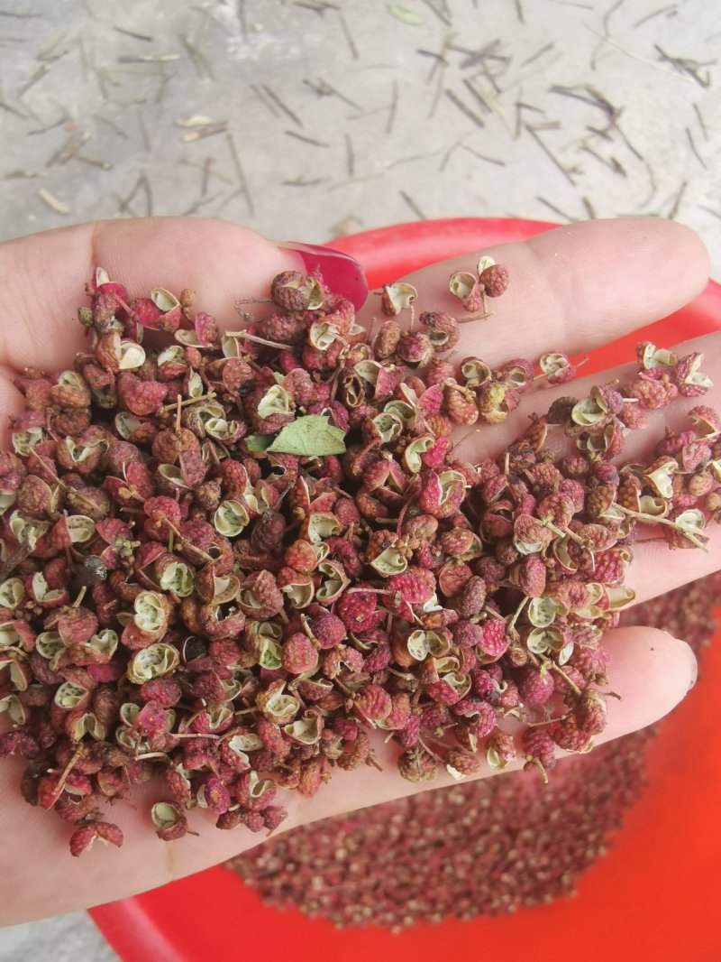 【精品】大红袍花椒颜色红，颗粒大保质保量量大从优