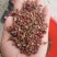 【精品】大红袍花椒颜色红，颗粒大保质保量量大从优