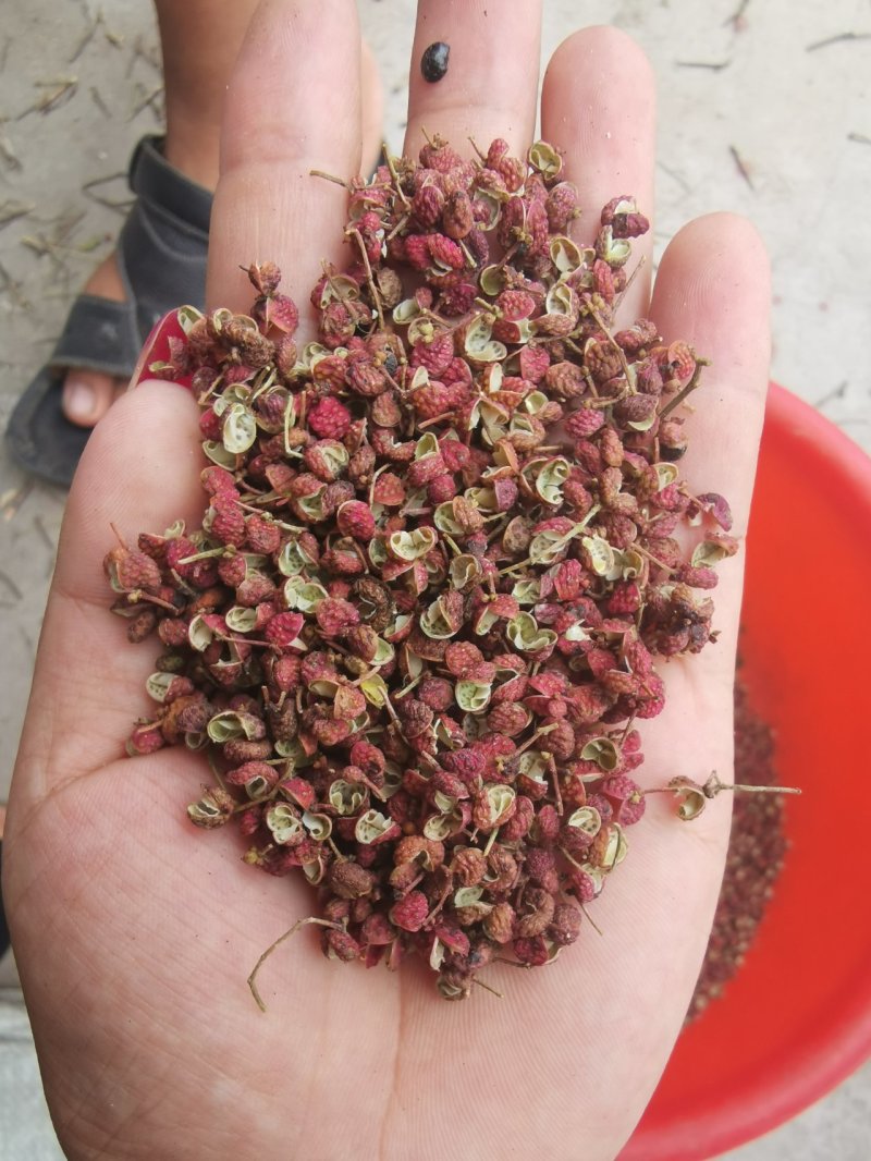 【精品】大红袍花椒颜色红，颗粒大保质保量量大从优