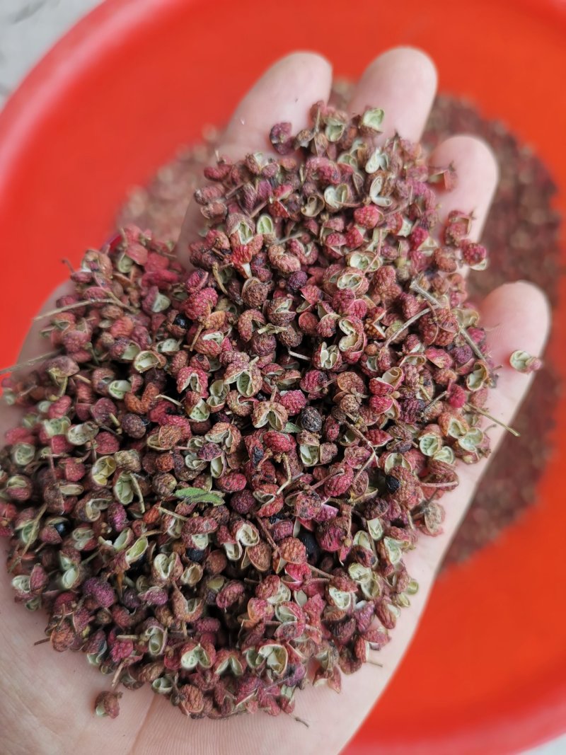 【精品】大红袍花椒颜色红，颗粒大保质保量量大从优